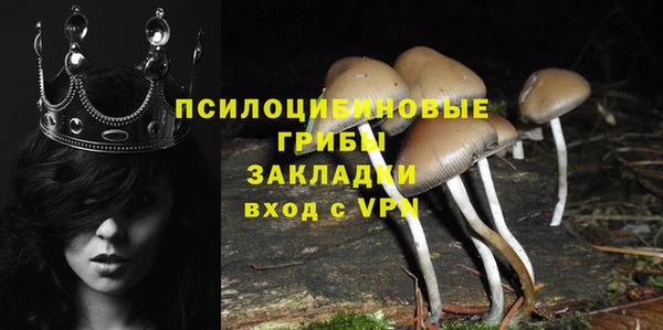 mix Нязепетровск