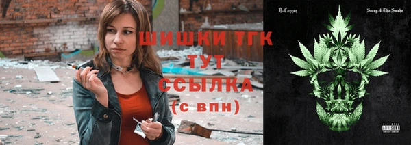 spice Новозыбков