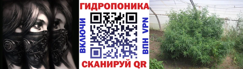 Шишки марихуана индика Переславль-Залесский